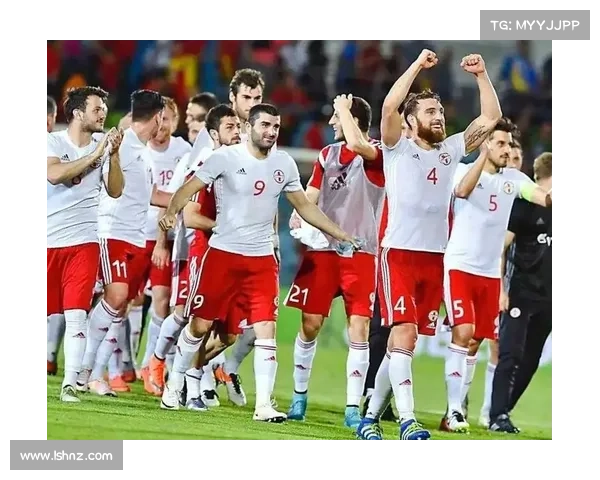 如何全面评估土耳其对格鲁吉亚足球比赛的技术特点与战术分析